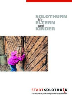 SOLOTHURN f&uuml;r - Stadt Solothurn