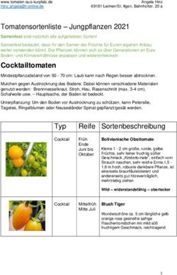 Cocktailtomaten Tomatensortenliste - Jungpflanzen 2021 - Tomaten aus Kurpfalz