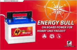ENERGY BULL ON BOARD POWER FÜR HOBBY UND FREIZEIT