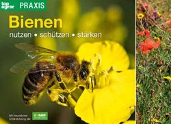 Bienen nutzen sch&uuml;tzen st&auml;rken - PRAXIS - BASF