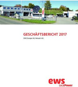 GESCH&Auml;FTSBERICHT 2017 - EWS Energie AG, Reinach AG