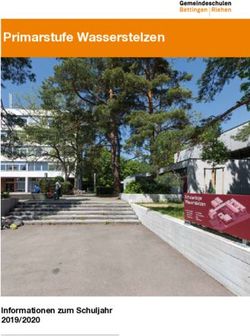 Primarstufe Wasserstelzen - Informationen zum Schuljahr 2019/2020 - Primarstufe ...