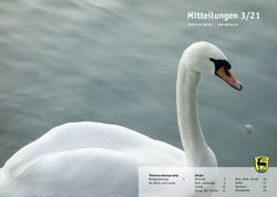 Mitteilungen 3/21 - Eglisau