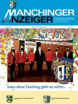 ANCHINGER NZEIGER Informationsblatt f&uuml;r den Markt Manching