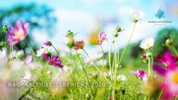 NACHHALTIGKEITSBERICHT 2020 - Mann & Schröder ...