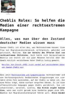 Cheblis Rolex: So helfen die Medien einer rechtsextremen Kampagne - Volksverpetzer