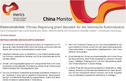 Elektromobilität: Chinas Regierung plant Neustart für die heimische Autoindustrie