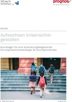 Aufwachsen krisensicher gestalten - Studie Grundlagen f&uuml;r eine entwicklungsbegleitende Armutspr&auml;ventionsstrategie f&uuml;r Grundschulkinder - Stiftung SPI