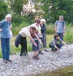 Amphibien und ihre Helfer*innen - Pro Natura Baselland