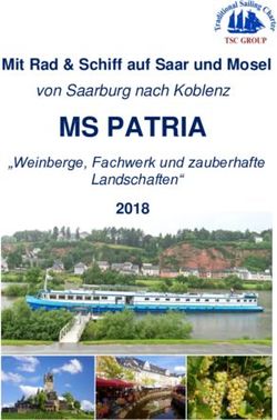 MS PATRIA Mit Rad & Schiff auf Saar und Mosel - von Saarburg nach Koblenz