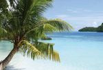 Meine Traumziele - Specialtour "Palau" Das Beste vom Besten in Palau - Aqua Active Agency