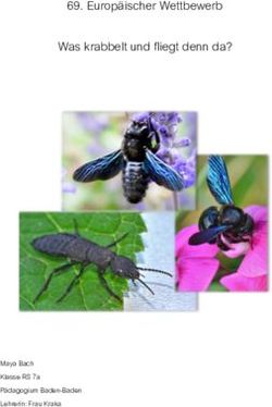 Europäischer Wettbewerb Was krabbelt und fliegt denn da? - Maya Bach Klasse RS 7a Pädagogium Baden-Baden Lehrerin: Frau Kraka