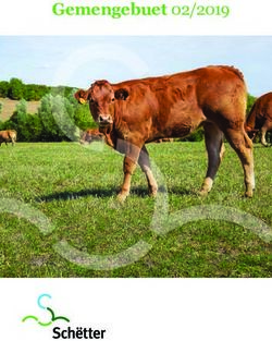 Gemengebuet 02/2019 - Commune de schuttrange