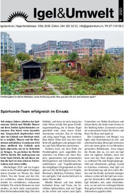 Sp&uuml;rhunde-Team erfolgreich im Einsatz - Igelzentrum