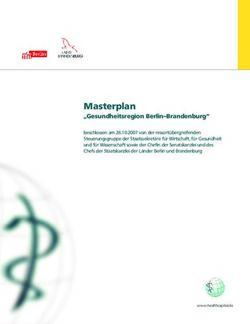 Masterplan "Gesundheitsregion Berlin-Brandenburg"