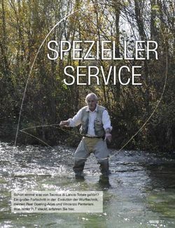 SPEZIELLER SERVICE - Schon einmal was von Tecnica di Lancio Totale geh&ouml;rt? Ein gro&szlig;er Fortschritt in der Evolution der Wurftechnik, meinen Peer ...