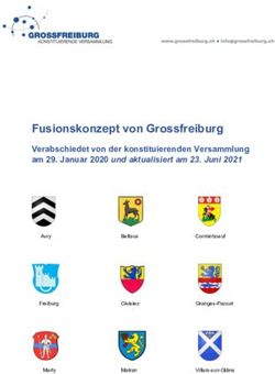 Fusionskonzept von Grossfreiburg - Verabschiedet von der konstituierenden Versammlung am 29. Januar 2020 und aktualisiert am 23. Juni 2021