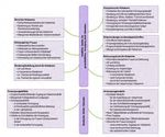 ZEITSCHRIFT F&Uuml;R HEBAMMENWISSENSCHAFT - Journal of Midwifery Science - DGHWi