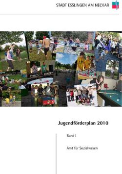 Jugendförderplan 2010 - Band I Amt für Sozialwesen - Stadt Esslingen am Neckar