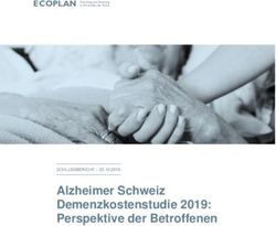 Alzheimer Schweiz Demenzkostenstudie 2019: Perspektive der Betroffenen - ECOPLAN
