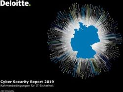 Cyber Security Report 2019 - Rahmenbedingungen für IT-Sicherheit - Deloitte