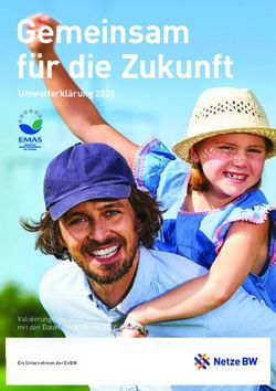 Gemeinsam f&uuml;r die Zukunft - Umwelterkl&auml;rung 2020 - Validierungsjahr 2020 mit den Daten von 2018 und 2019 - Netze BW