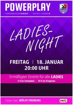 POWERPLAY - Heilbronner Falken