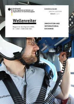 Wellenreiter INNOVATION AND INTERNATIONAL EXCHANGE - SONDERAUSGABE - Bund.de