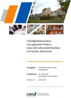 Vertr&auml;glichkeitsanalyse zum geplanten Neubau eines Aldi Lebensmittelmarktes in Prenzlau, Kietzstra&szlig;e