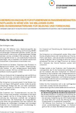 ÜBERBRÜCKUNGSHILFE FÜR STUDIERENDE IN PANDEMIEBEDINGTEN NOTLAGEN IN HÖHE VON 100 MILLIONEN EURO DES BUNDESMINISTERIUMS FÜR BILDUNG UND FORSCHUNG