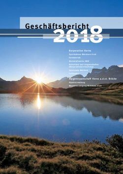 Gesch&auml;ftsbericht 2018 - Melchsee-Frutt