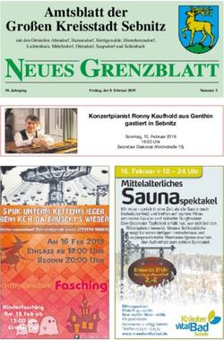 Amtsblatt der Großen Kreisstadt Sebnitz - Große Kreisstadt ...