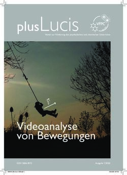 PlusLucis - Videoanalyse von Bewegungen v - Plus Lucis