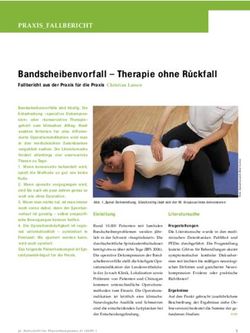 Bandscheibenvorfall - Therapie ohne R&uuml;ckfall - Fallbericht aus der Praxis f&uuml;r die Praxis Christian Larsen