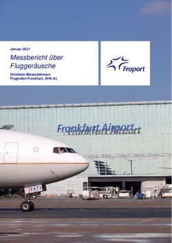 Messbericht &uuml;ber Flugger&auml;usche - Januar 2021
