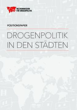 DROGENPOLITIK IN DEN STÄDTEN - POSITIONSPAPIER - The Global ...