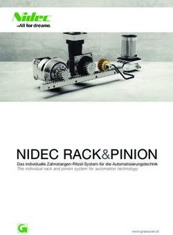 NIDEC RACK&PINION Das individuelle Zahnstangen-Ritzel-System für die ...