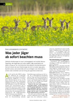 Was jeder Jäger ab sofort beachten muss - LJV nrw