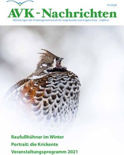 AVK - Nachrichten - Raufußhühner im Winter Portrait: die Krickente Veranstaltungsprogramm 2021