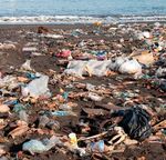 Müllkippe Meer Wege aus der Plastikflut - NABU
