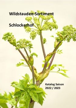 Wildstauden-Sortiment Schlockerhof - Katalog Saison 2022 / 2023