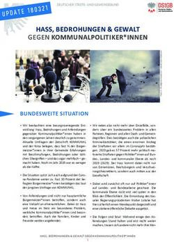 HASS, BEDROHUNGEN & GEWALT - GEGEN KOMMUNALPOLITIKER*INNEN - DSTGB