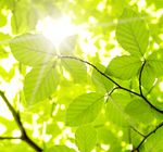 M&Auml;RZ 2019 Veranstaltungskalender - Budge-Stiftung