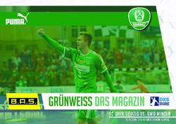 Gr&uuml;nweiss DAs Magazin - SC DHFK Leipzig vs. GWD Minden