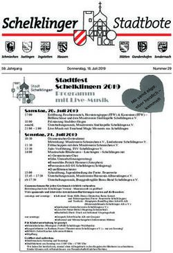 Stadtfest Schelklingen 2019 Programm mit Live-Musik