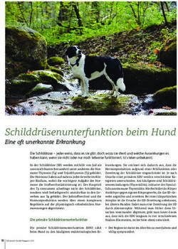 Schilddrüsenunterfunktion Beim Hund - Eine Oft Unerkannte Erkrankung