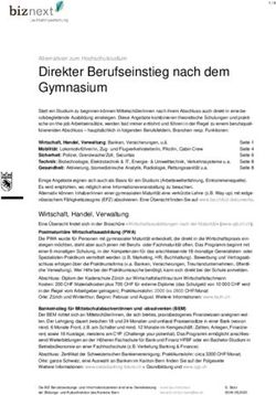 Direkter Berufseinstieg nach dem Gymnasium - BIZ ...