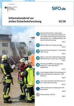 Informationsbrief zur zivilen Sicherheitsforschung - SIFO.de