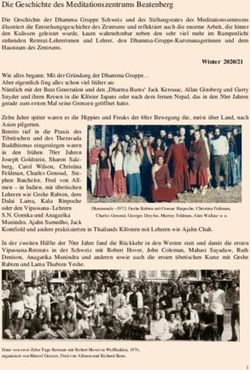 Die Geschichte des Meditationszentrums Beatenberg