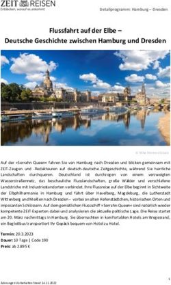 Flussfahrt auf der Elbe - Deutsche Geschichte zwischen Hamburg und Dresden